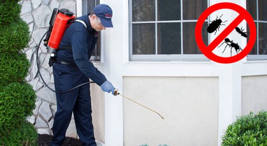 Tavşanlı Akrep İlaçlama böcek ilaçlama ve haşere kontrolü — ilaclama-tr.com